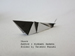 Photo Origami Buffalo Author : Hideaki Sakata, Folded by Tatsuto Suzuki